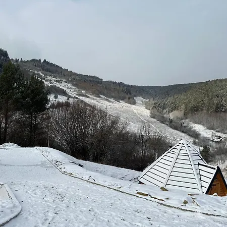 Sferyczny Azyl *